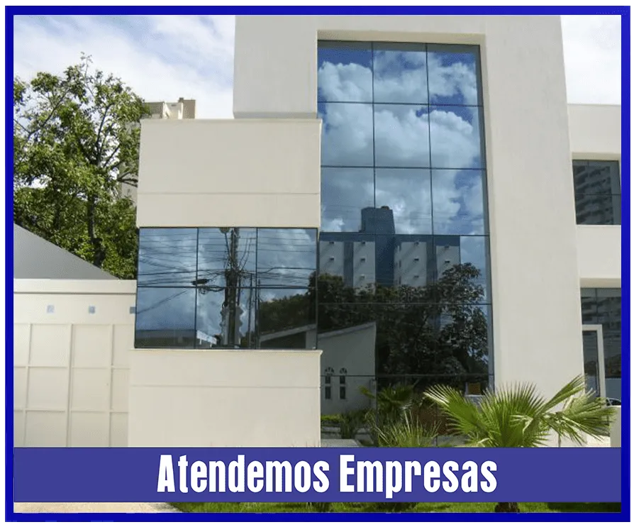 Raspagem e Aplicação de Bona em Empresas